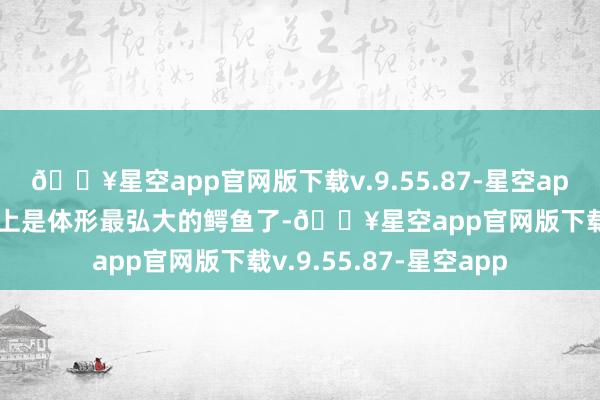 🔥星空app官网版下载v.9.55.87-星空app身长6米的湾鳄称得上是体形最弘大的鳄鱼了-🔥星空app官网版下载v.9.55.87-星空app